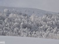 2017-12-29 V. del Morretano 144